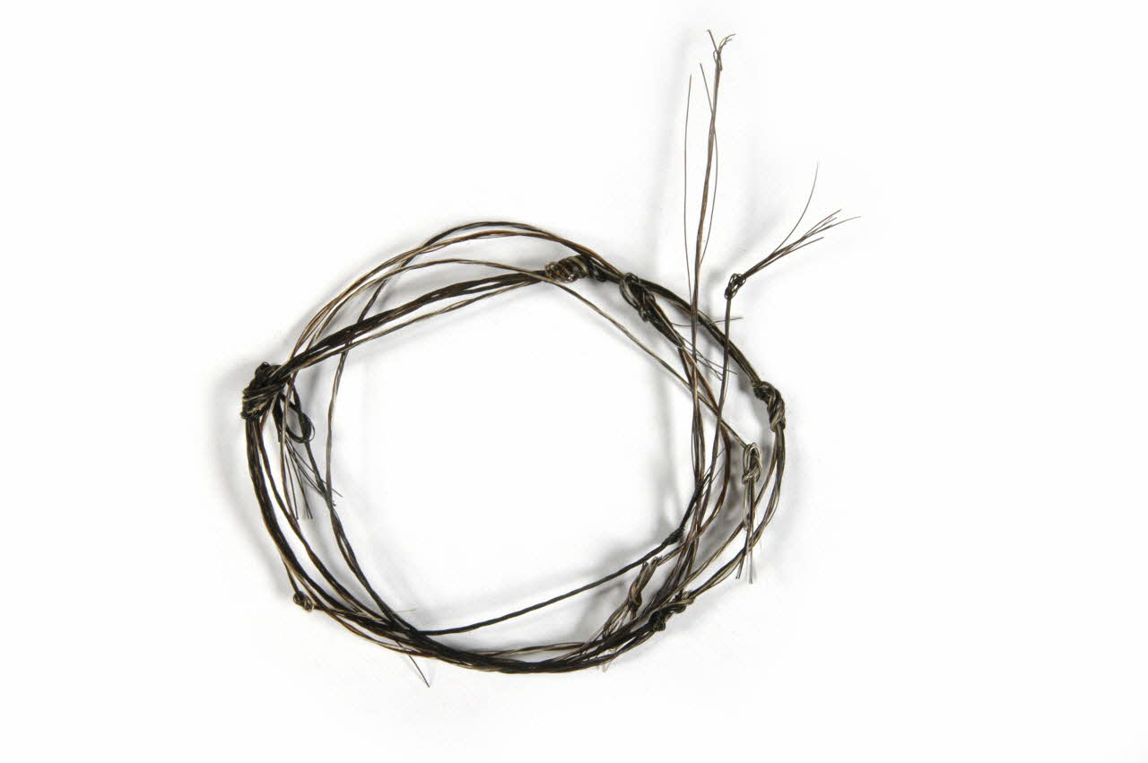 Oscar Aquaviva piège Lacet Amago(Corse) 1973 1975.13.26 Photo