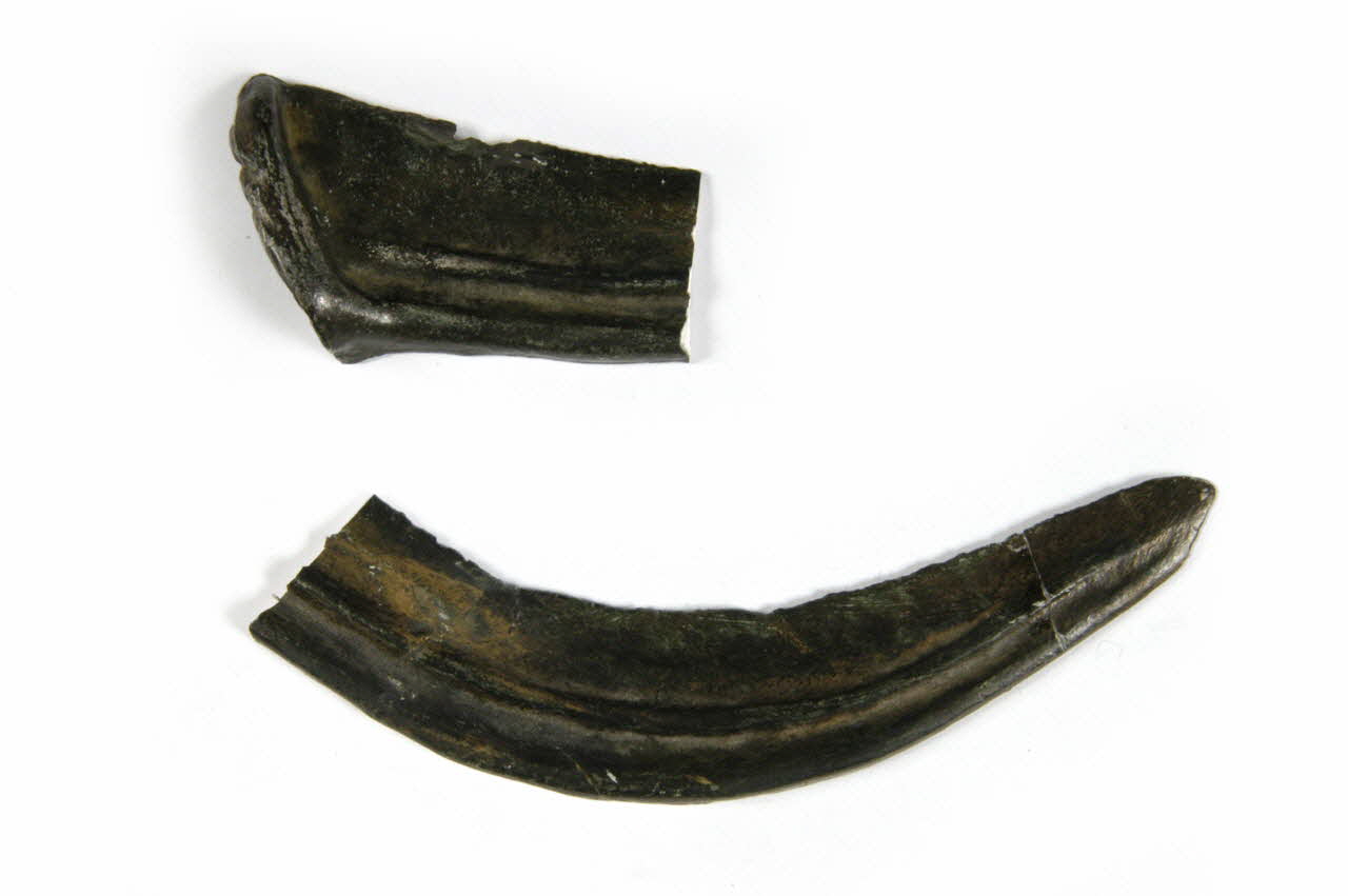 fac-similé Avant J.C. 1350 1975.13.32 Photo