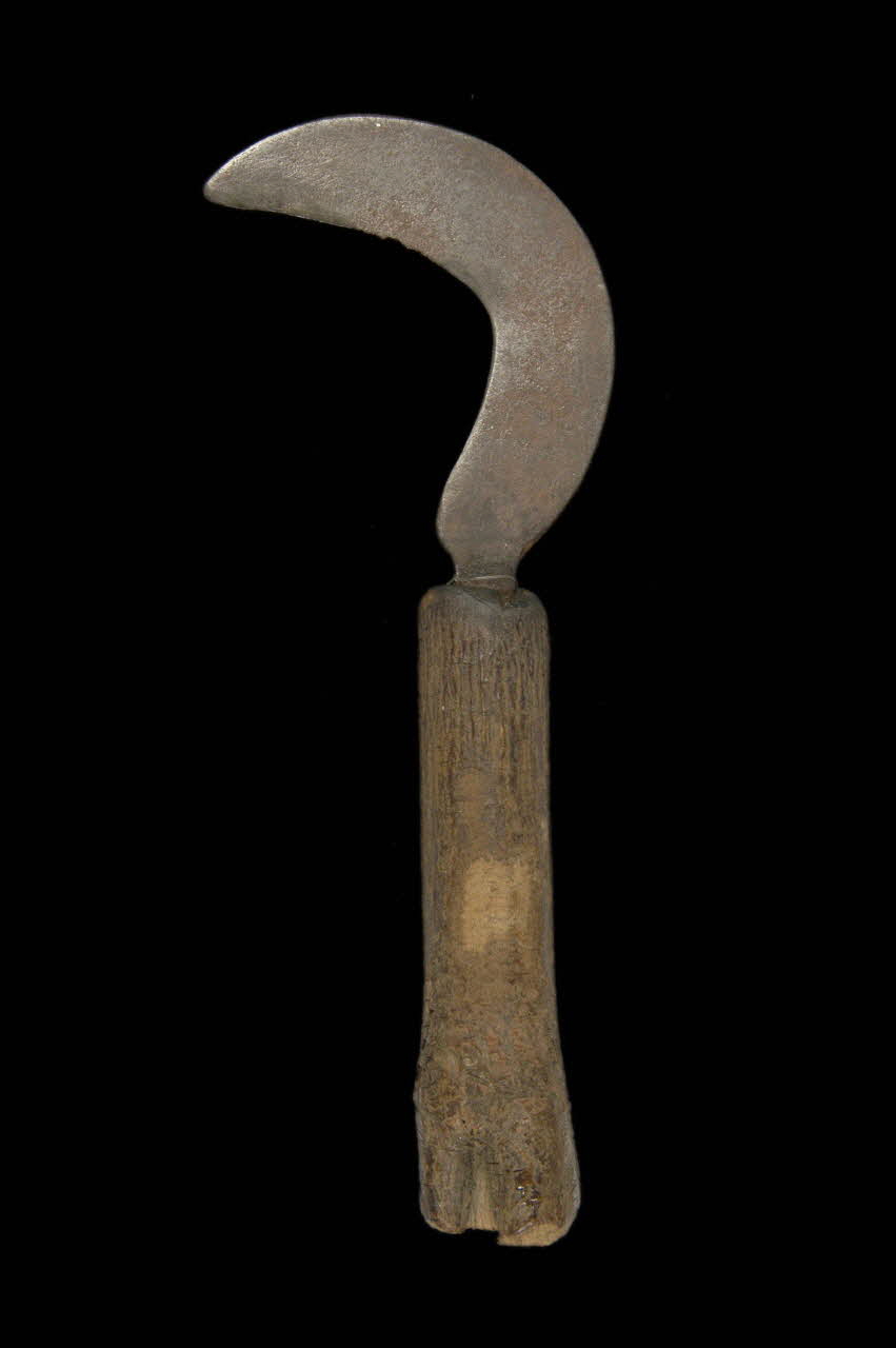 serpe 1975.74.32 Photo