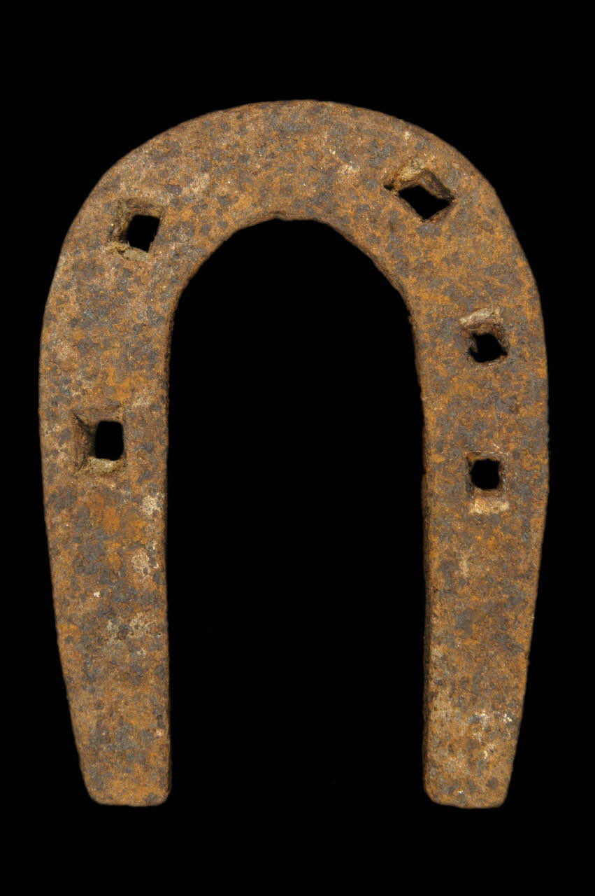 FER D'ANE 1975.81.7 Photo