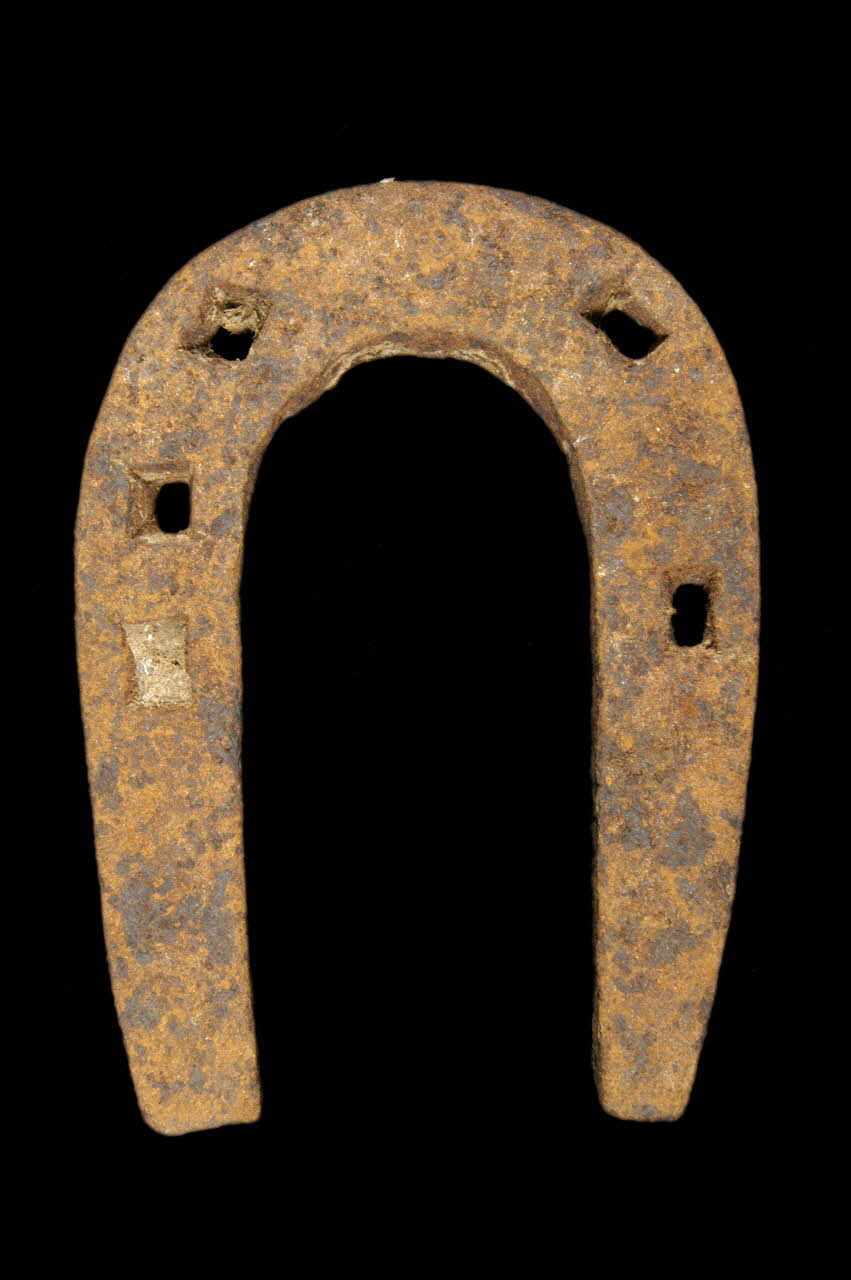 FER D'ANE 1975.81.8 Photo