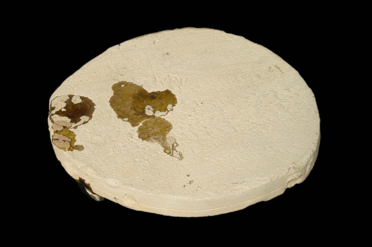 PERNETTE DMH1976.90.40 Photo