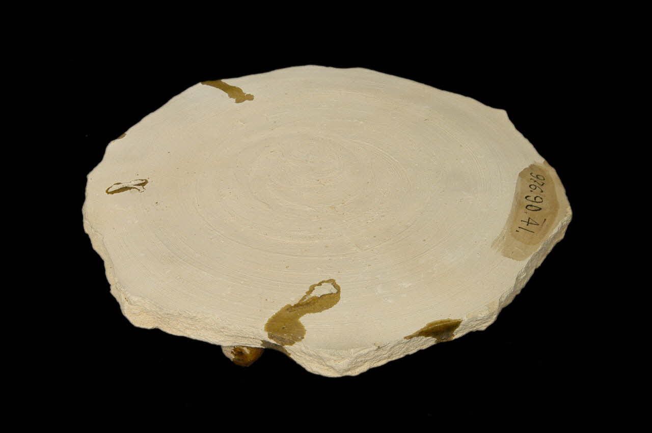 PERNETTE DMH1976.90.41 Photo