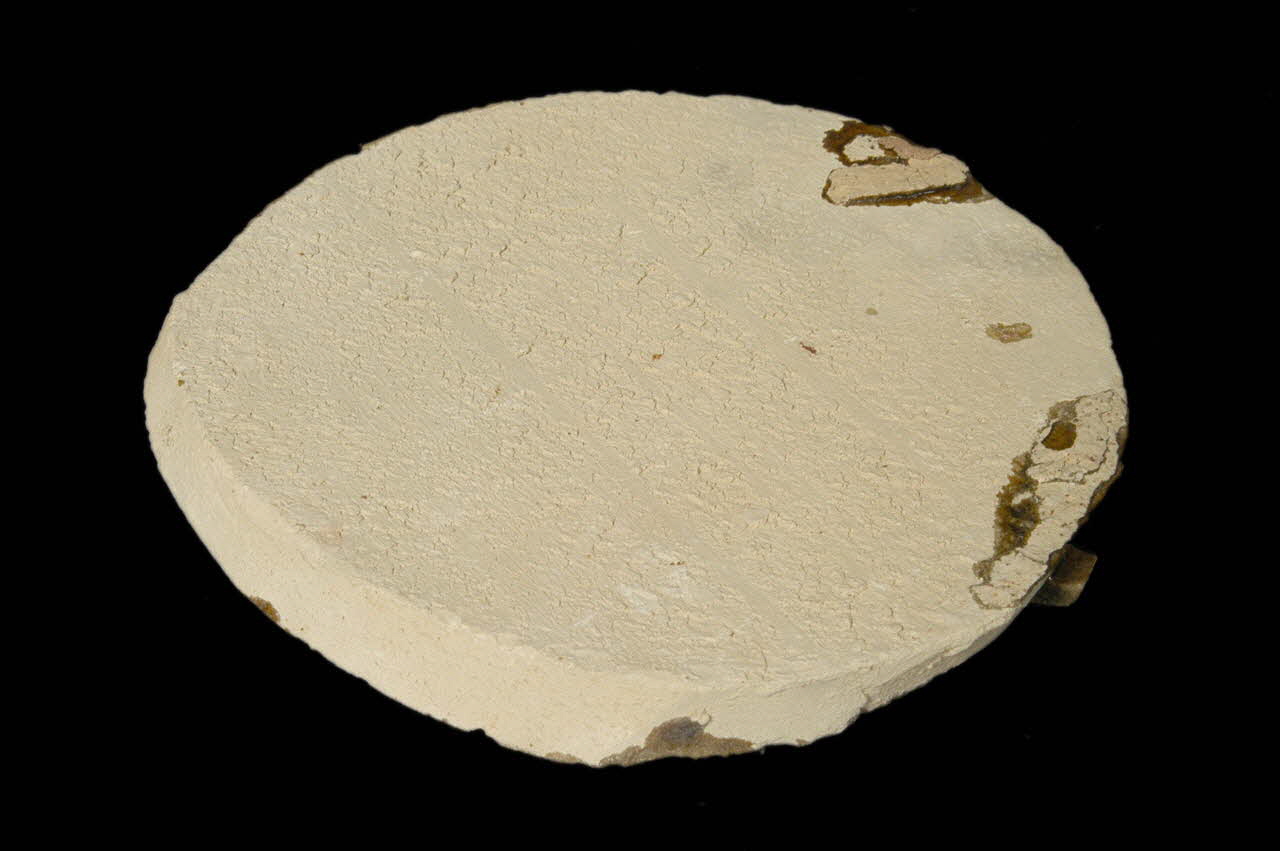 PERNETTE DMH1976.90.42 Photo