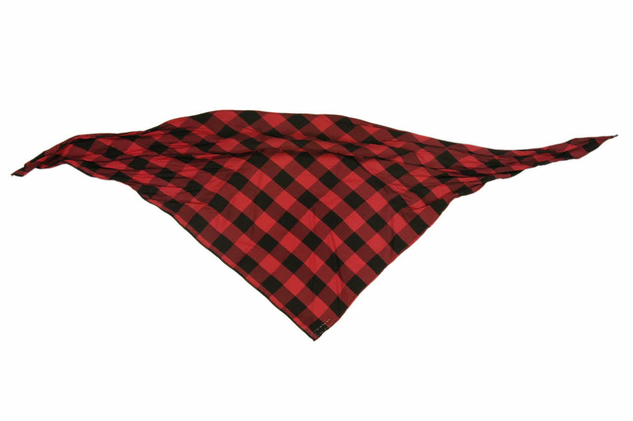 FOULARD DE TETE DMH1977.115.6.1 Photo