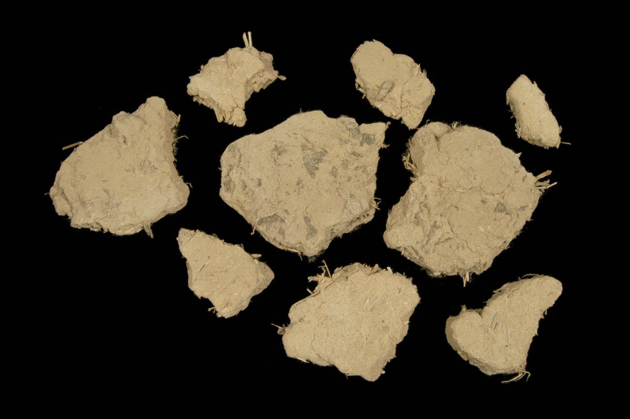 ENDUIT 1978.62.3 Photo