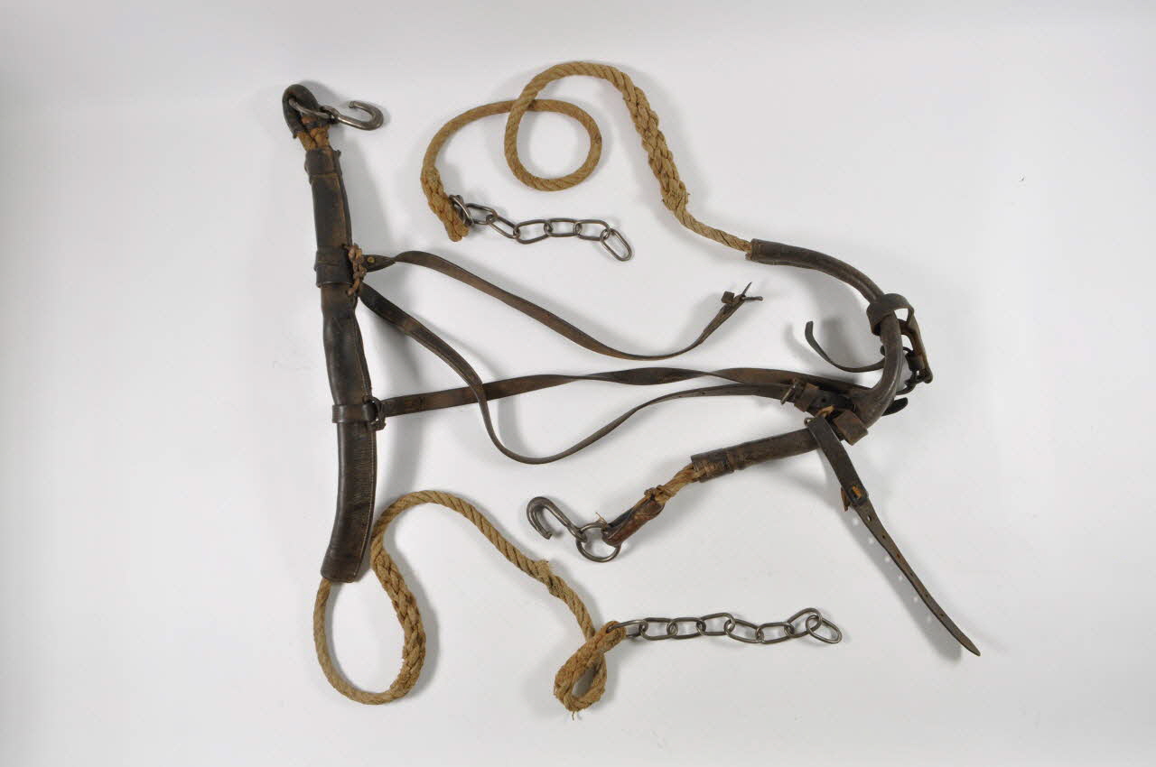 HARNACHEMENT DE CHEVAL lou stat 1914 1961.108.12 Photo Mucem