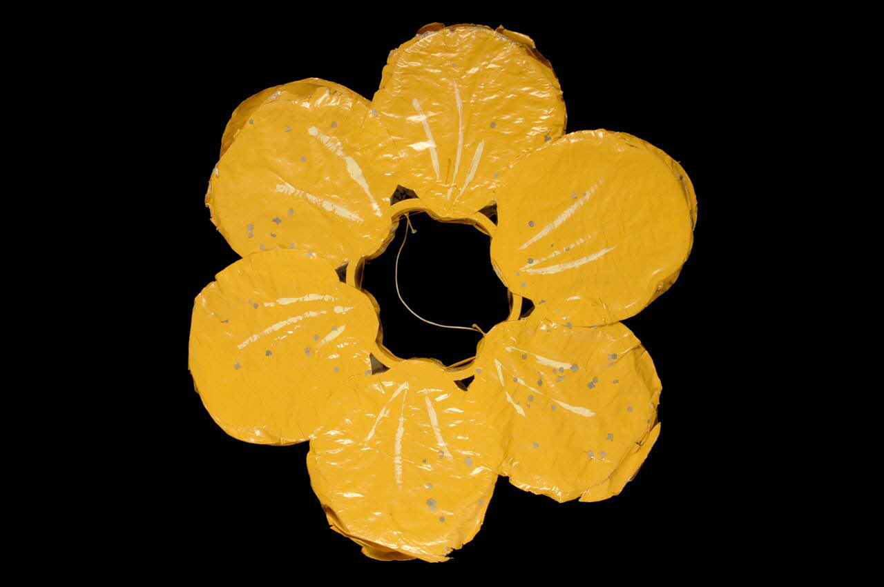 costume de bouton d'or 1979.90.32.1 Photo