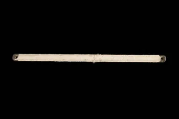 BALEINE 1980.47.50 Photo