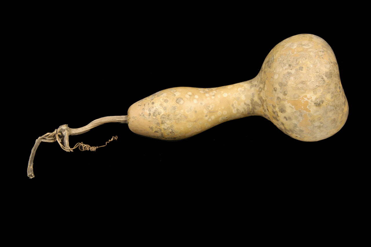 COURGE DMH1980.100.17 Photo