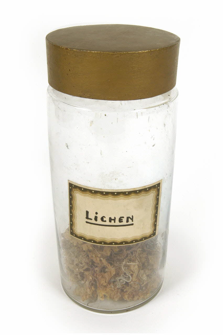 bocal 1983.45.60.1-2 Photo