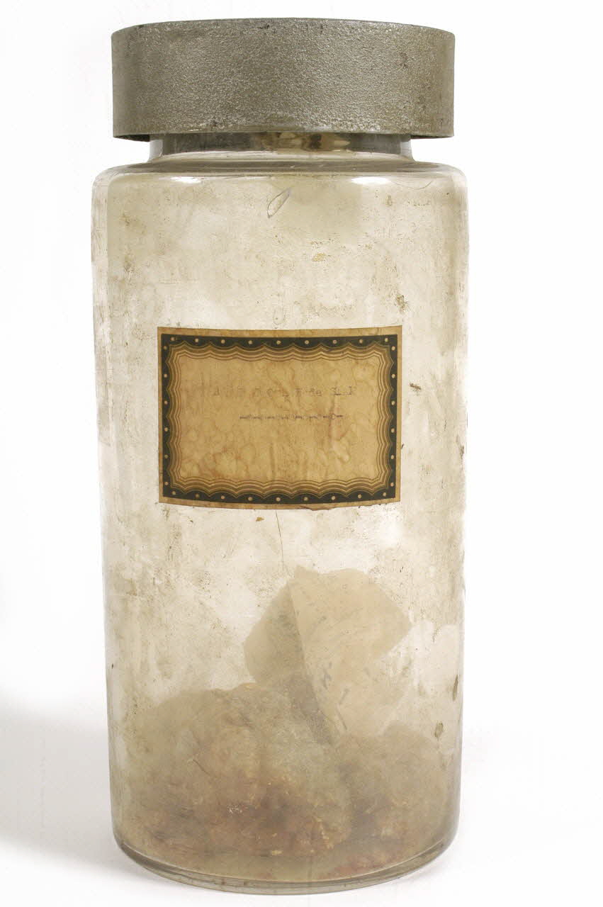 bocal 1983.45.94.1-2 Photo