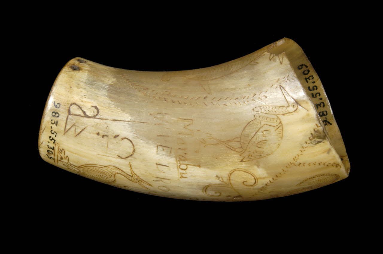 CORNE GRAVEE 1983.55.309 Photo