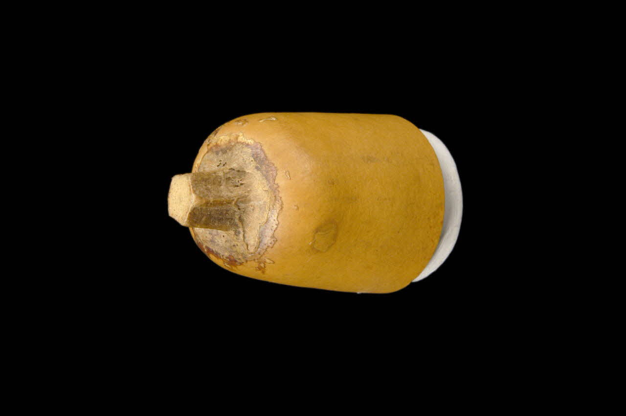 Yves ; Yves Rousguisto résonateur cougourdon Provence-Alpes-Côte d'Azur, France 1985 1986.17.12.2 Photo