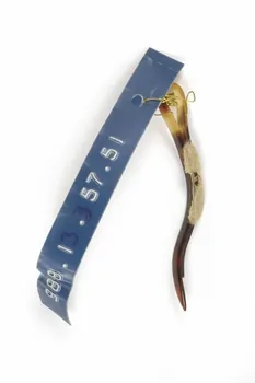 barrette 1988.13.357.51 Photo