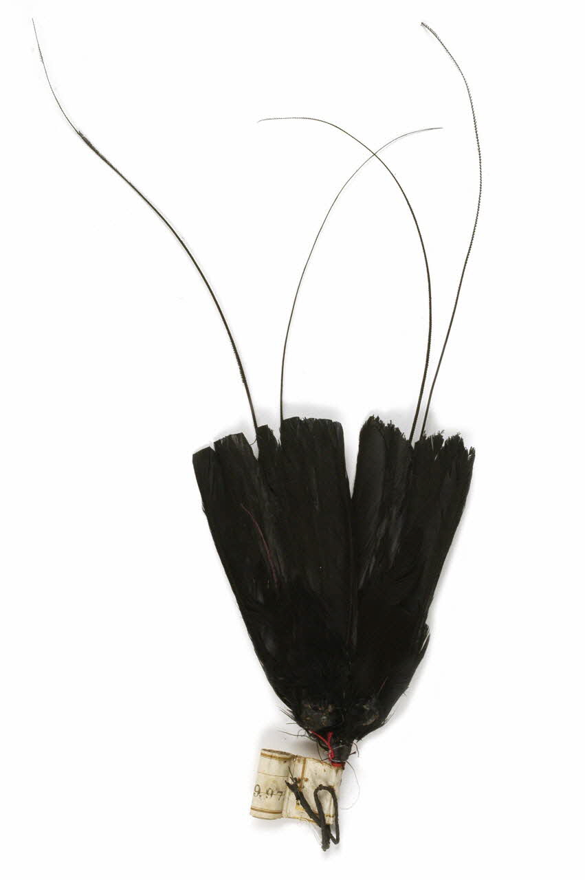 COMPOSITION Nord-Pas-de-Calais, France 1914 1992.24.81 Photo