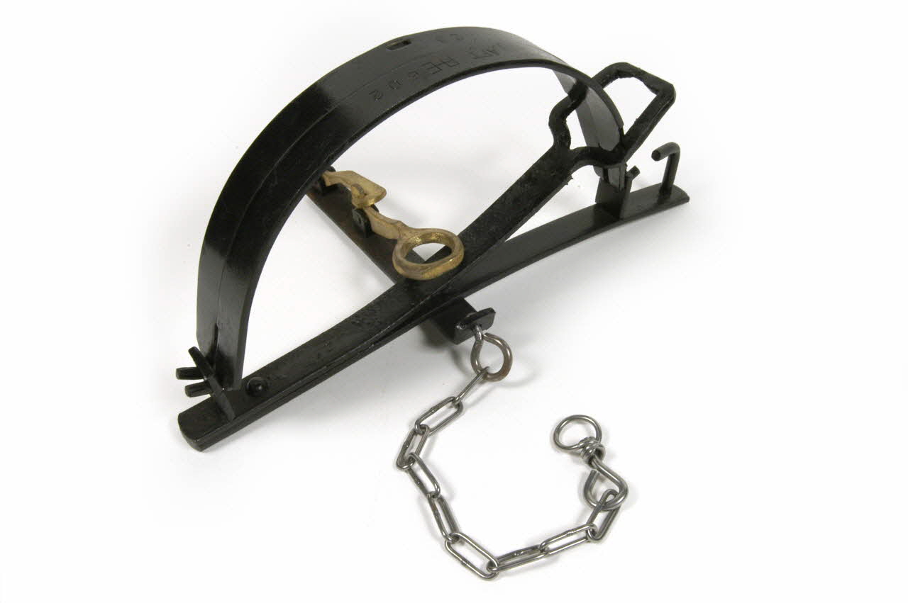 piège à mâchoires 1994.7.13 Photo