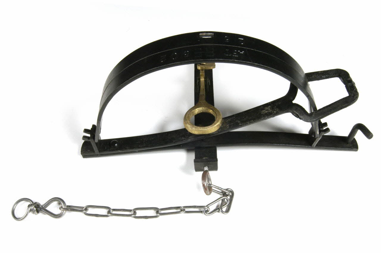 piège à mâchoires 1994.7.14 Photo