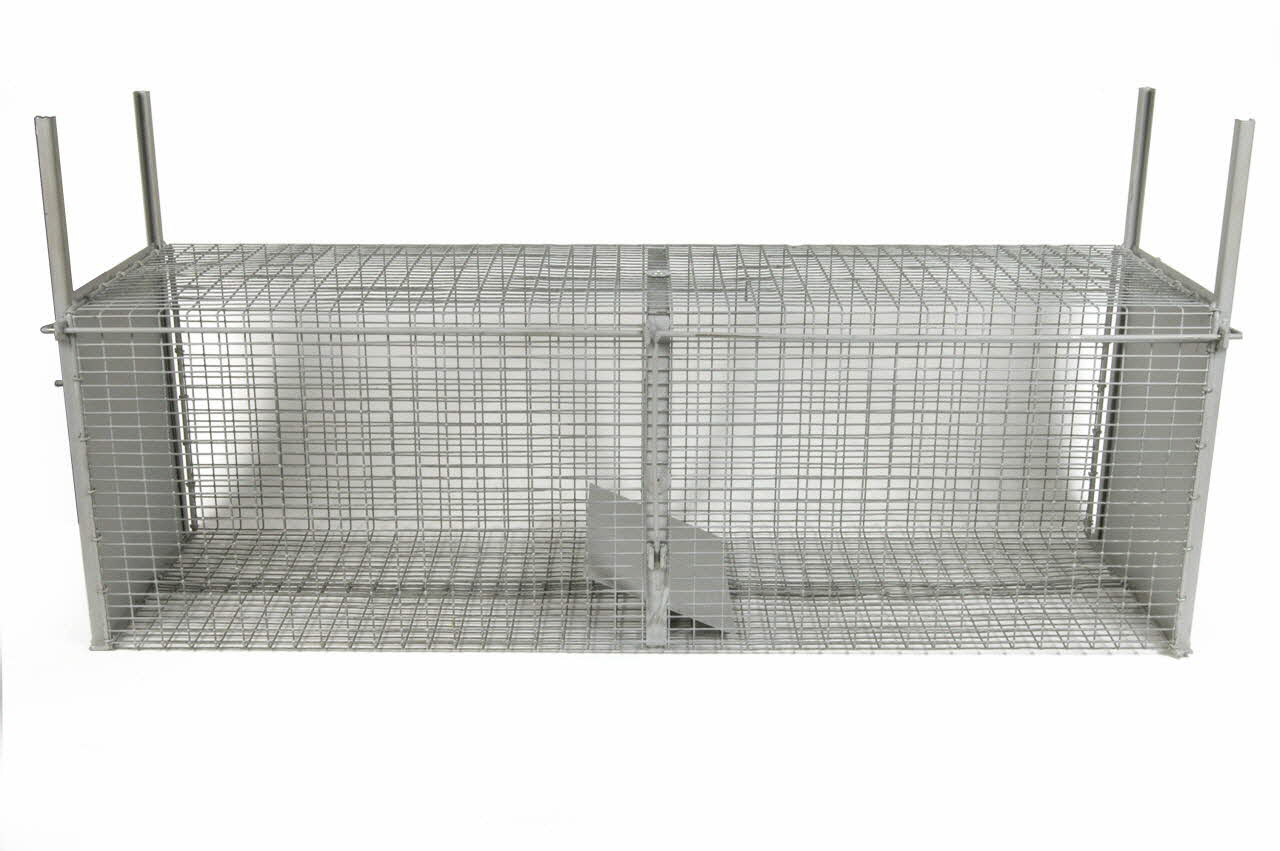 piège 1994.7.16 Photo