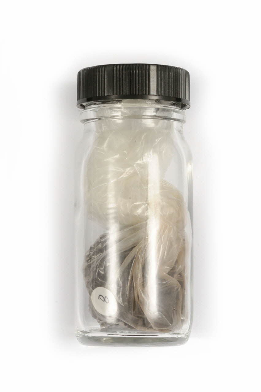 échantillon d'émail 1997.41.8 Photo