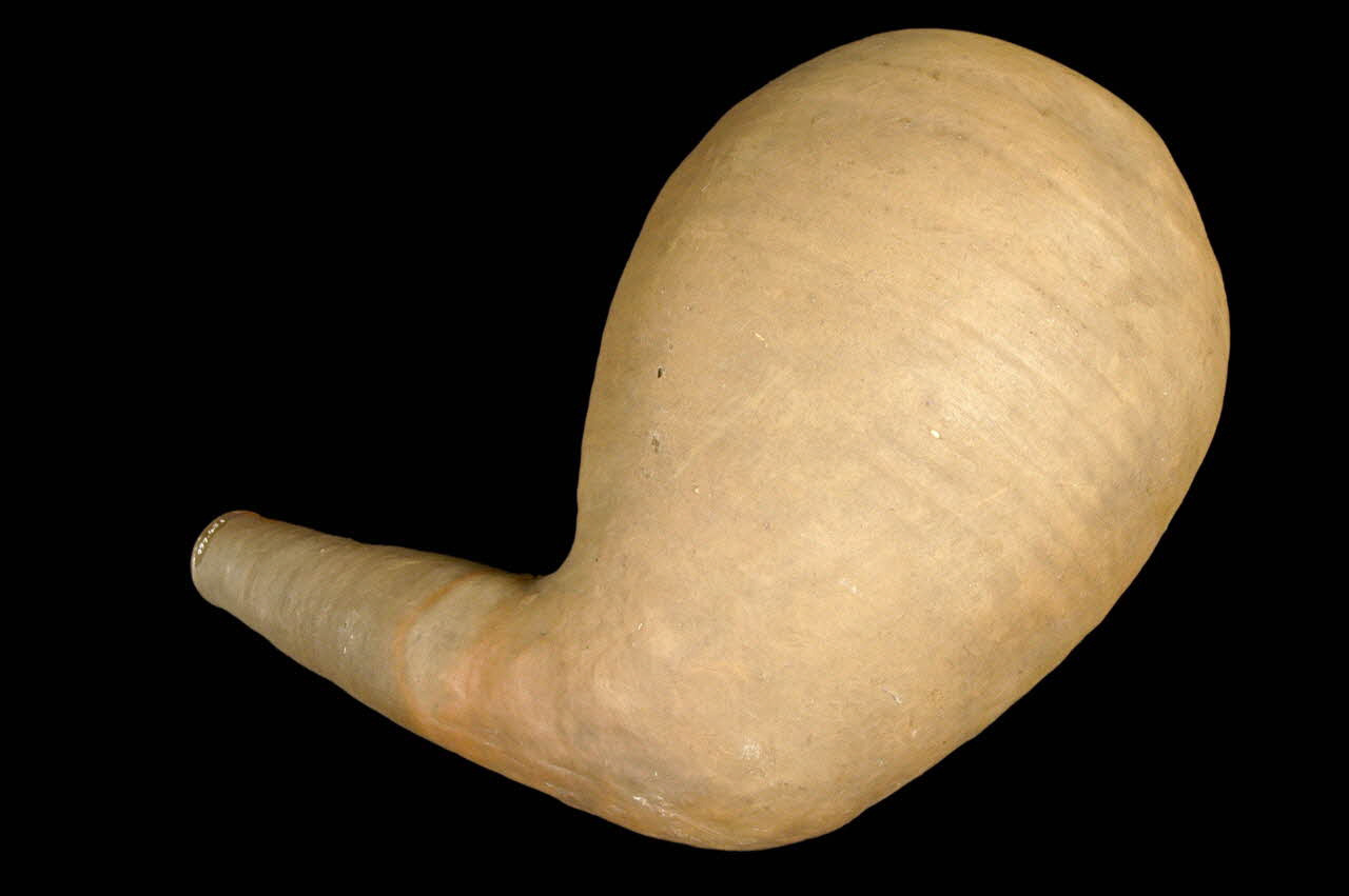 CORNUE 1997.43.1 Photo