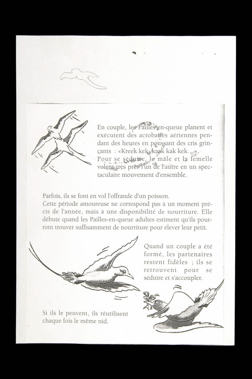 Version écaille document préparatoire La Réunion, France 1998 1998.110.13.1 Photo