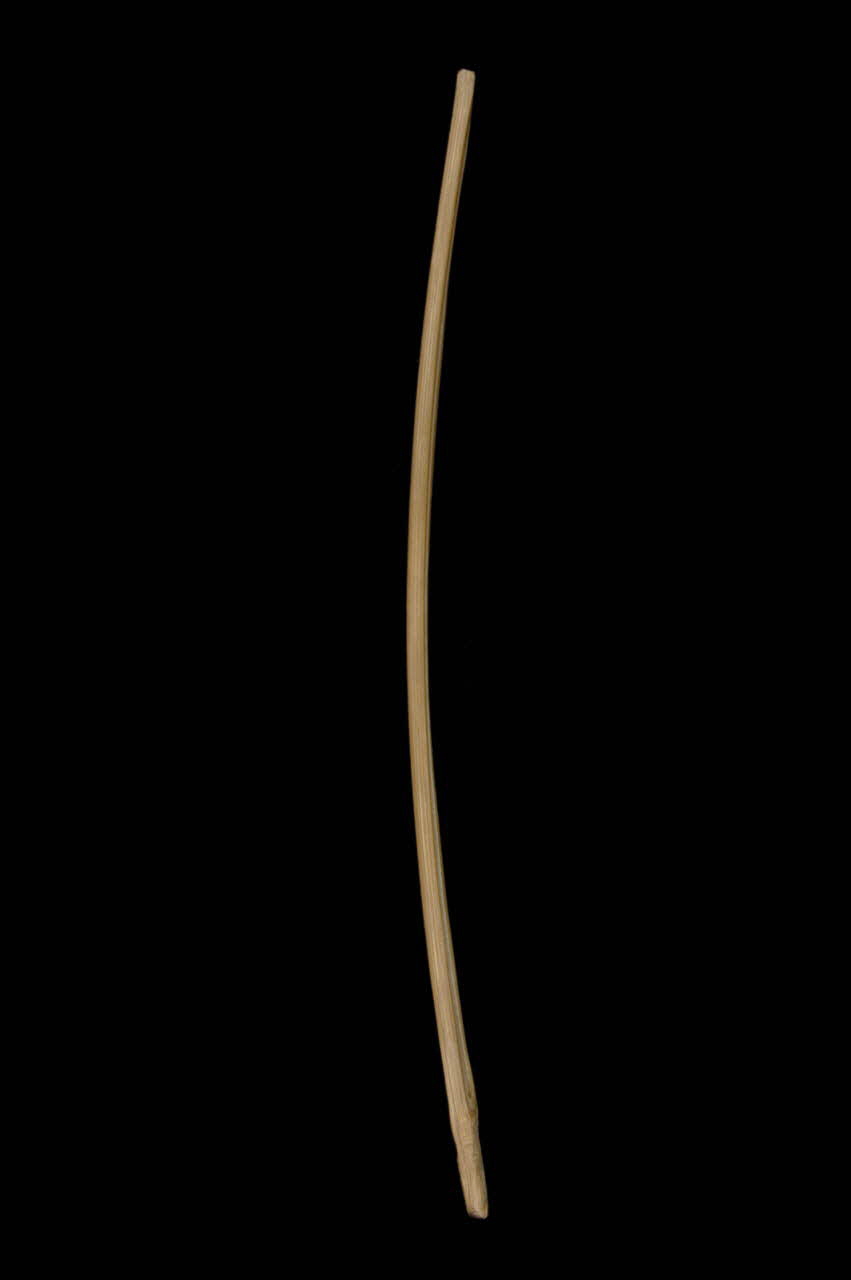 baguette (musique) La Réunion, France 1997-1998 1998.58.6.3 Photo