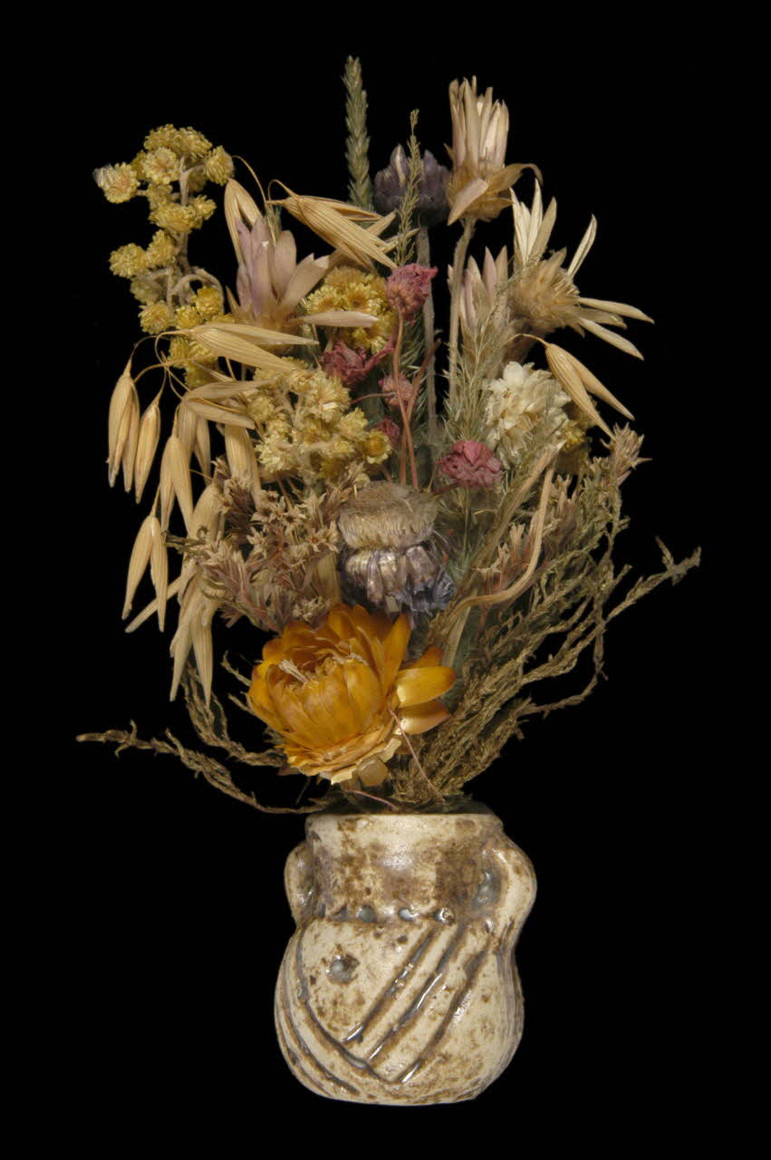 bouquet de fleurs DMH2000.62.5 Photo