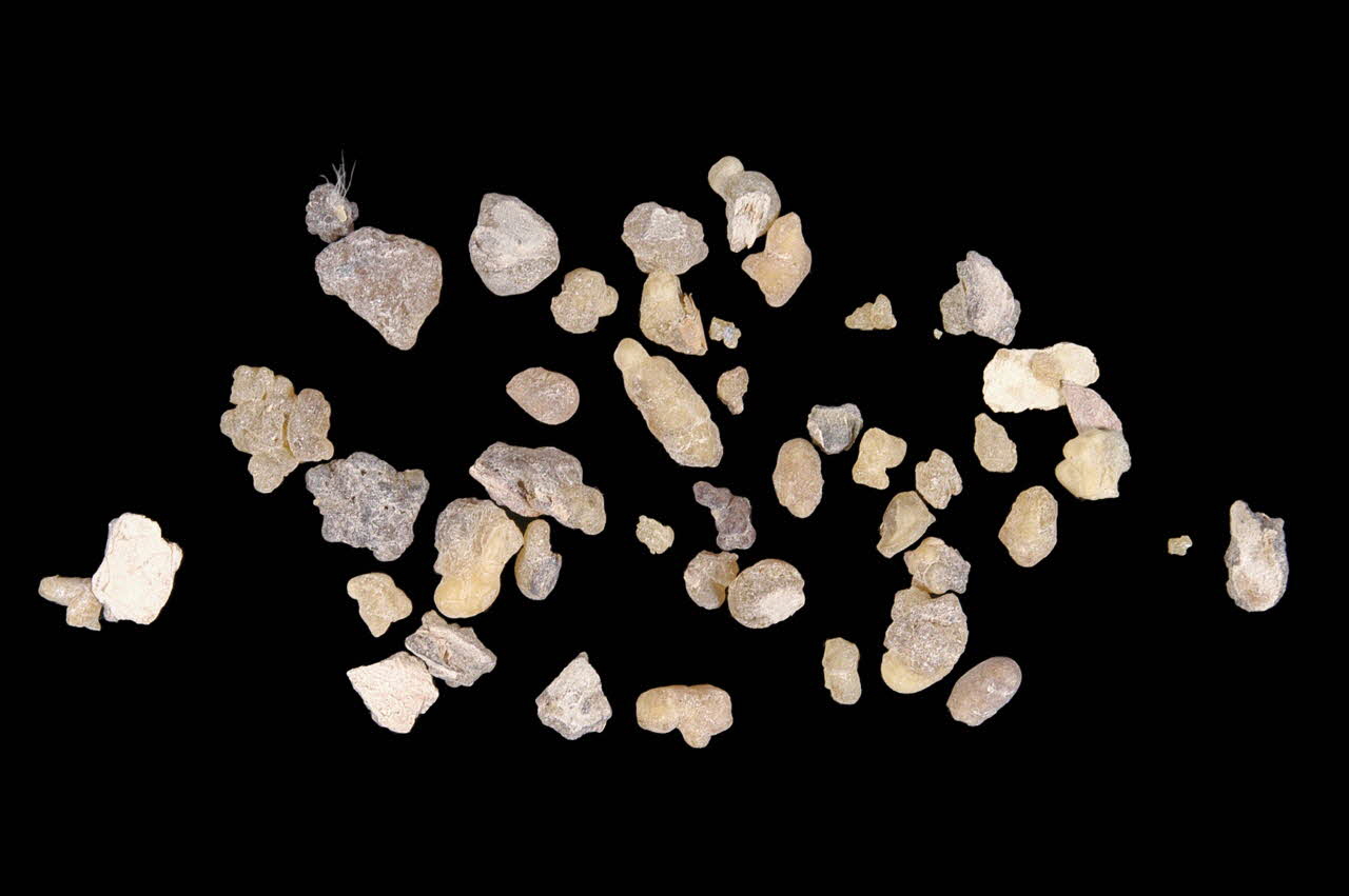 CORNET DE GRAINS bahrûr Syrie 2001 2001.54.4 Photo