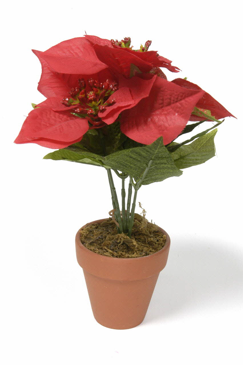 décoration de Noël 2001.9.38 Photo