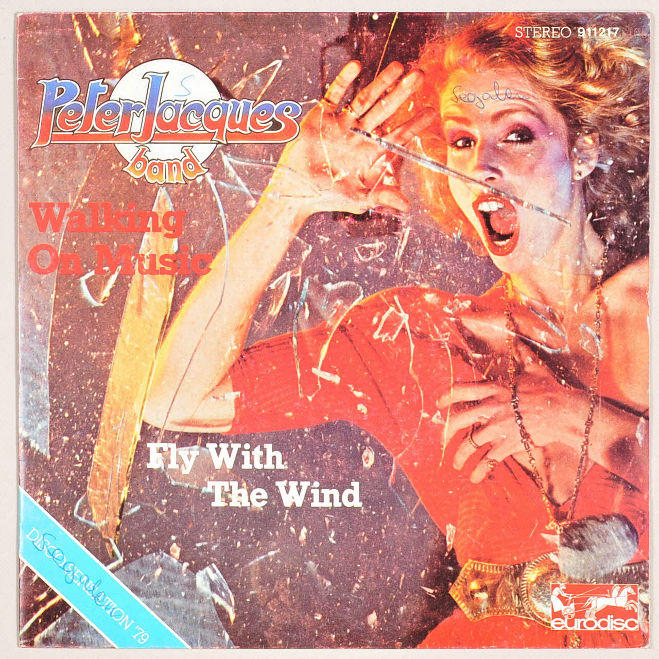 disque 45 tours Fly with the wind 2003.196.205 Photo