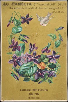 carte réclame LANGAGE DES FLEURS  Violette  Modestie 1994.31.198.2 Photo