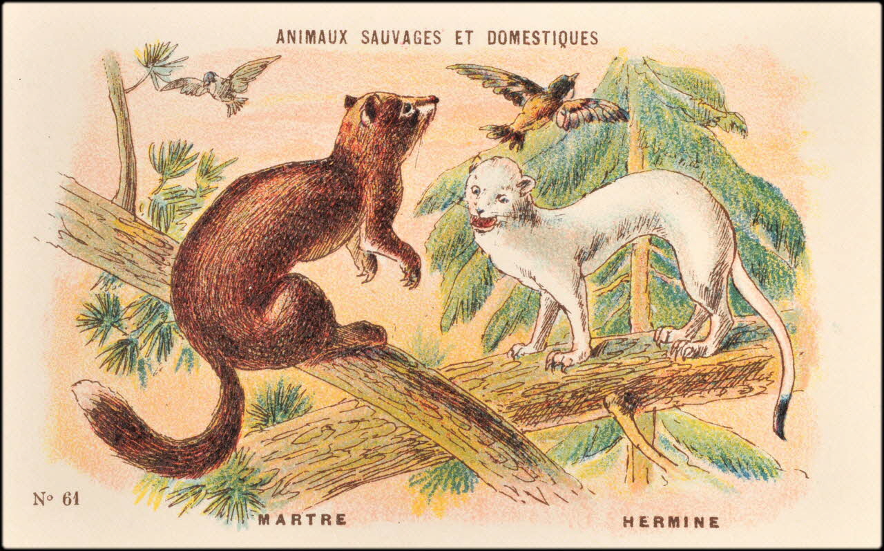 Baster & Vieillemard ; Pierre Vieillemard carte réclame chromo Paris 1878-1914 1995.1.1008.12 Photo