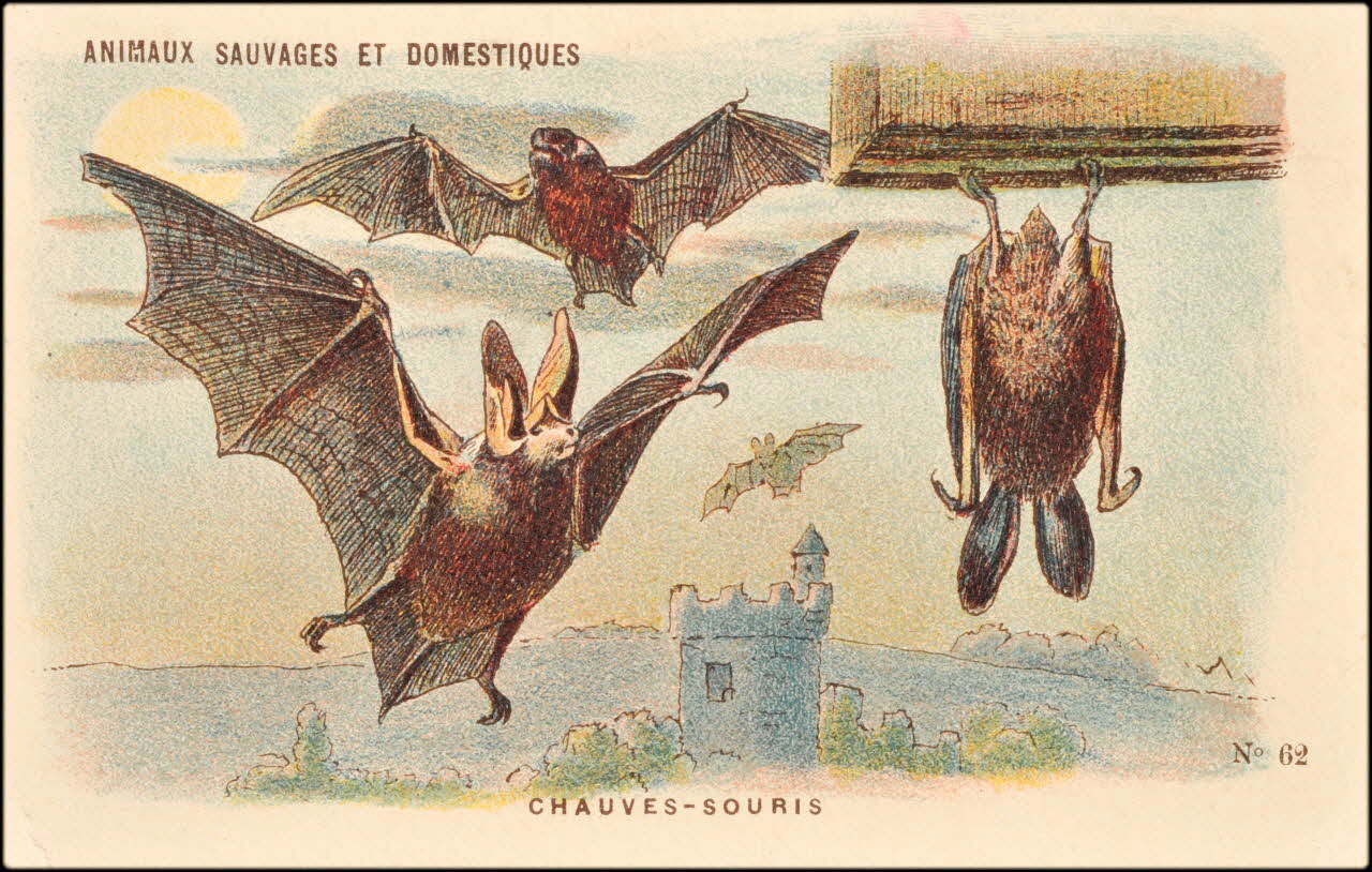 Baster & Vieillemard ; Pierre Vieillemard carte réclame chromo Paris 1878-1914 1995.1.1008.13 Photo