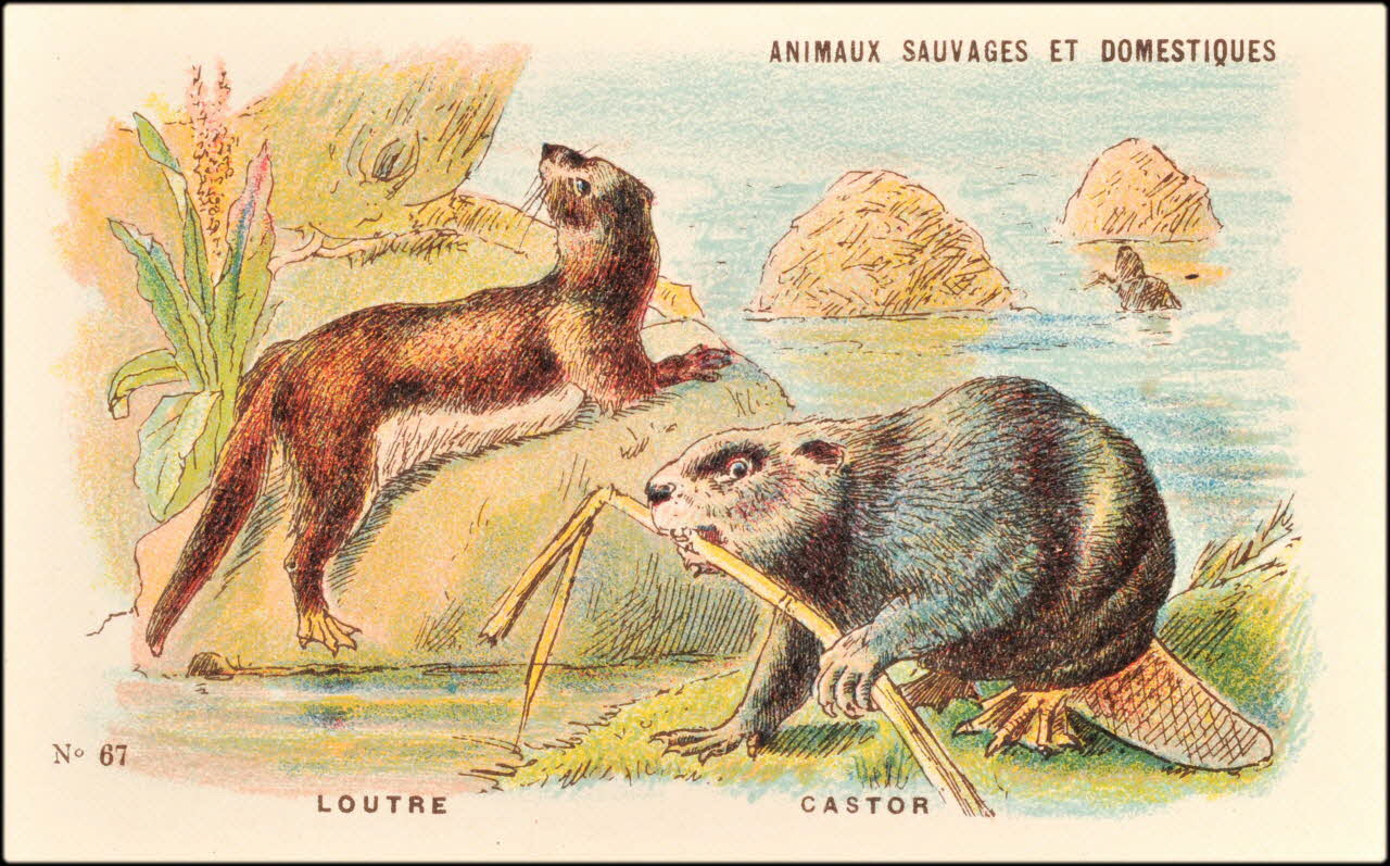 Baster & Vieillemard ; Pierre Vieillemard carte réclame chromo Paris 1878-1914 1995.1.1008.14 Photo