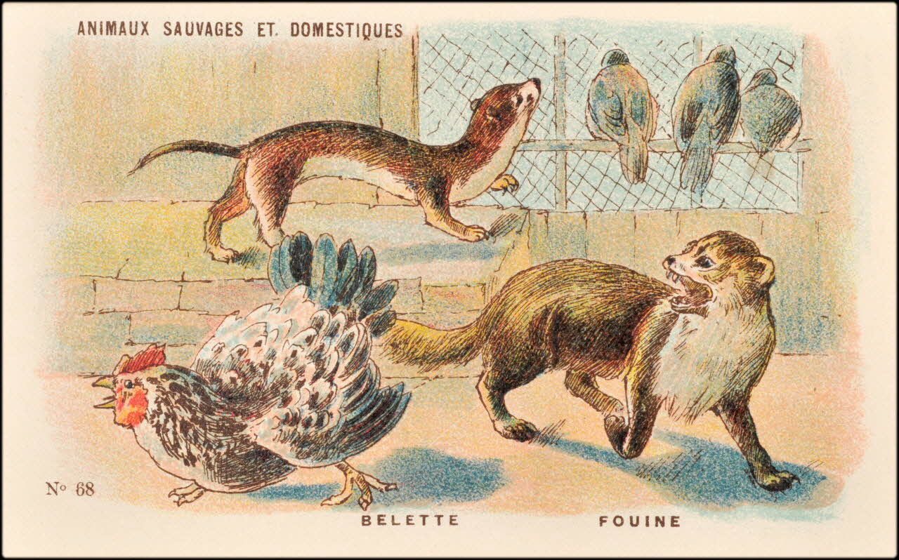 Baster & Vieillemard ; Pierre Vieillemard carte réclame chromo Paris 1878-1914 1995.1.1008.15 Photo