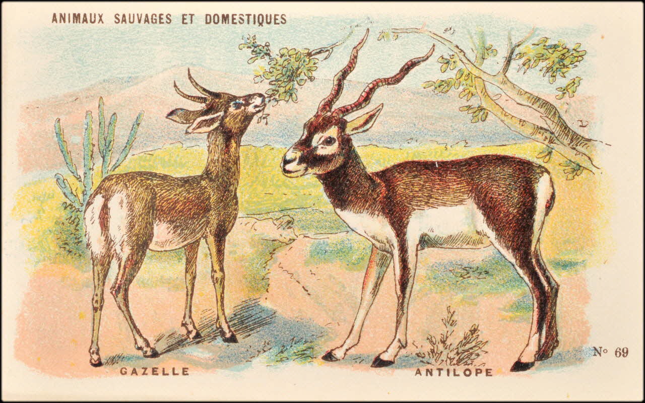 Baster & Vieillemard ; Pierre Vieillemard carte réclame chromo Paris 1878-1914 1995.1.1008.16 Photo