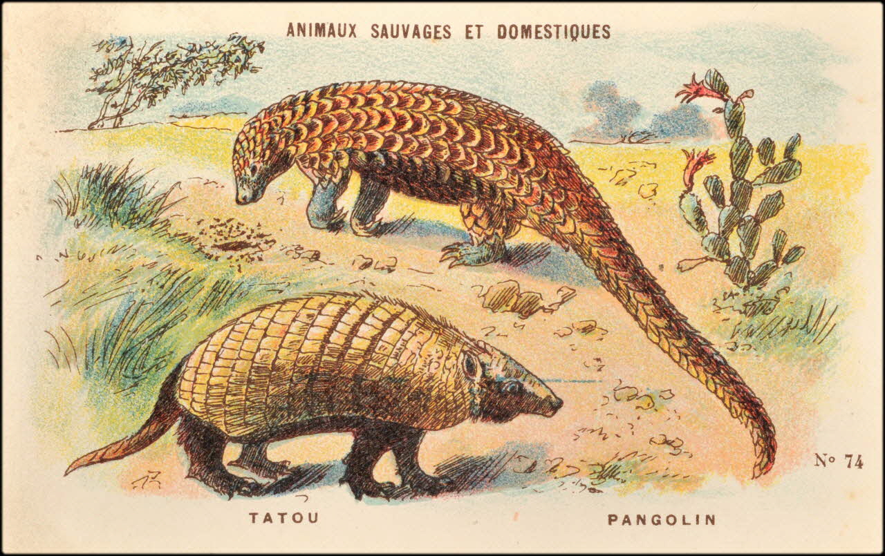 Baster & Vieillemard ; Pierre Vieillemard carte réclame chromo Paris 1878-1914 1995.1.1008.21 Photo