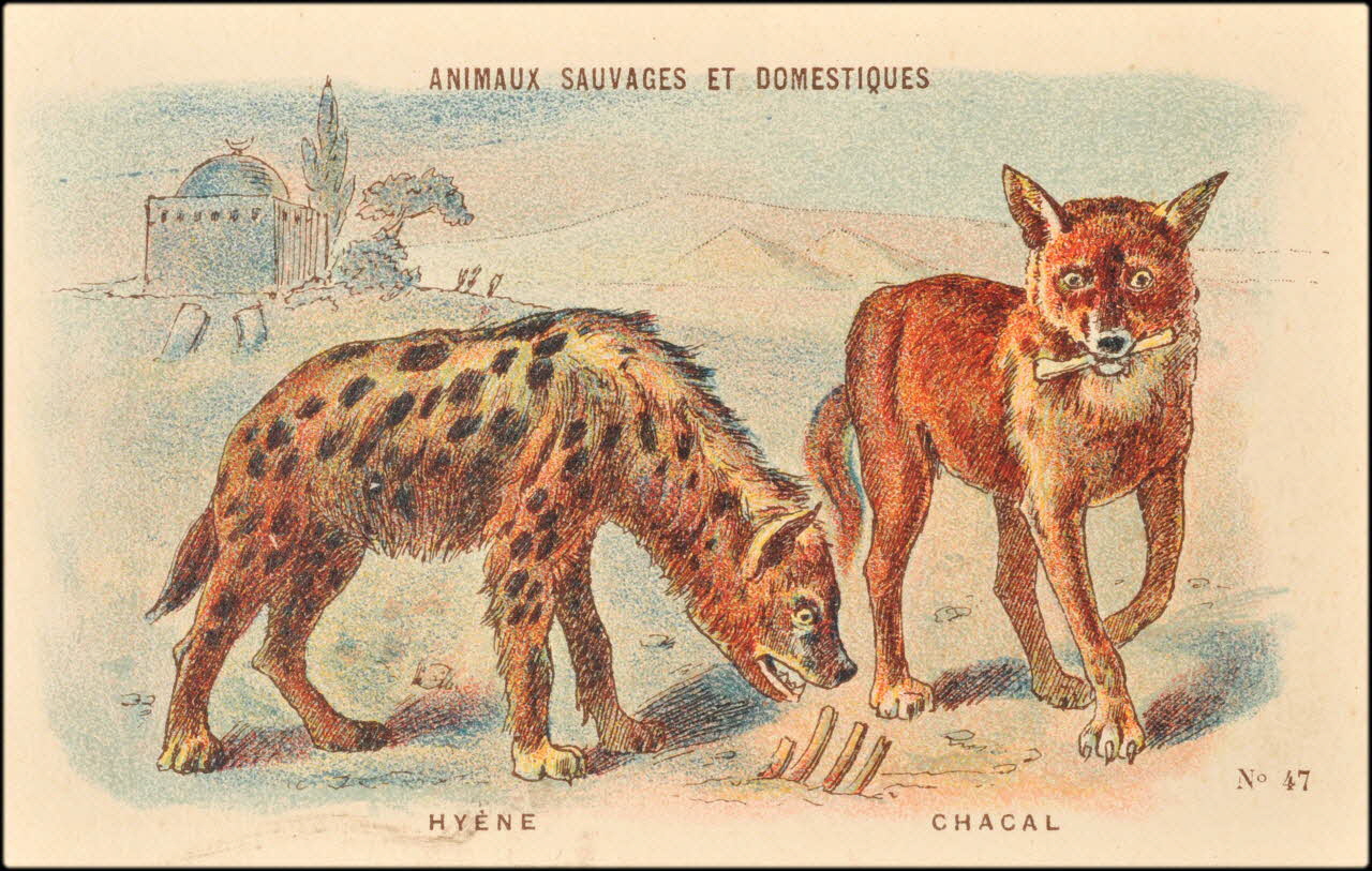 Baster & Vieillemard ; Pierre Vieillemard carte réclame chromo Paris 1878-1914 1995.1.1008.3 Photo