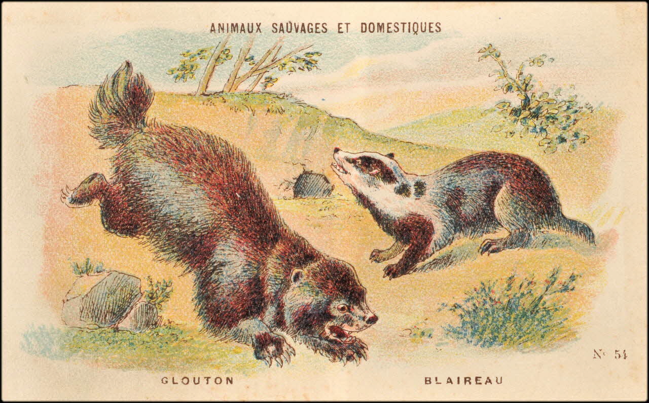 Baster & Vieillemard ; Pierre Vieillemard carte réclame chromo Paris 1878-1914 1995.1.1008.7 Photo