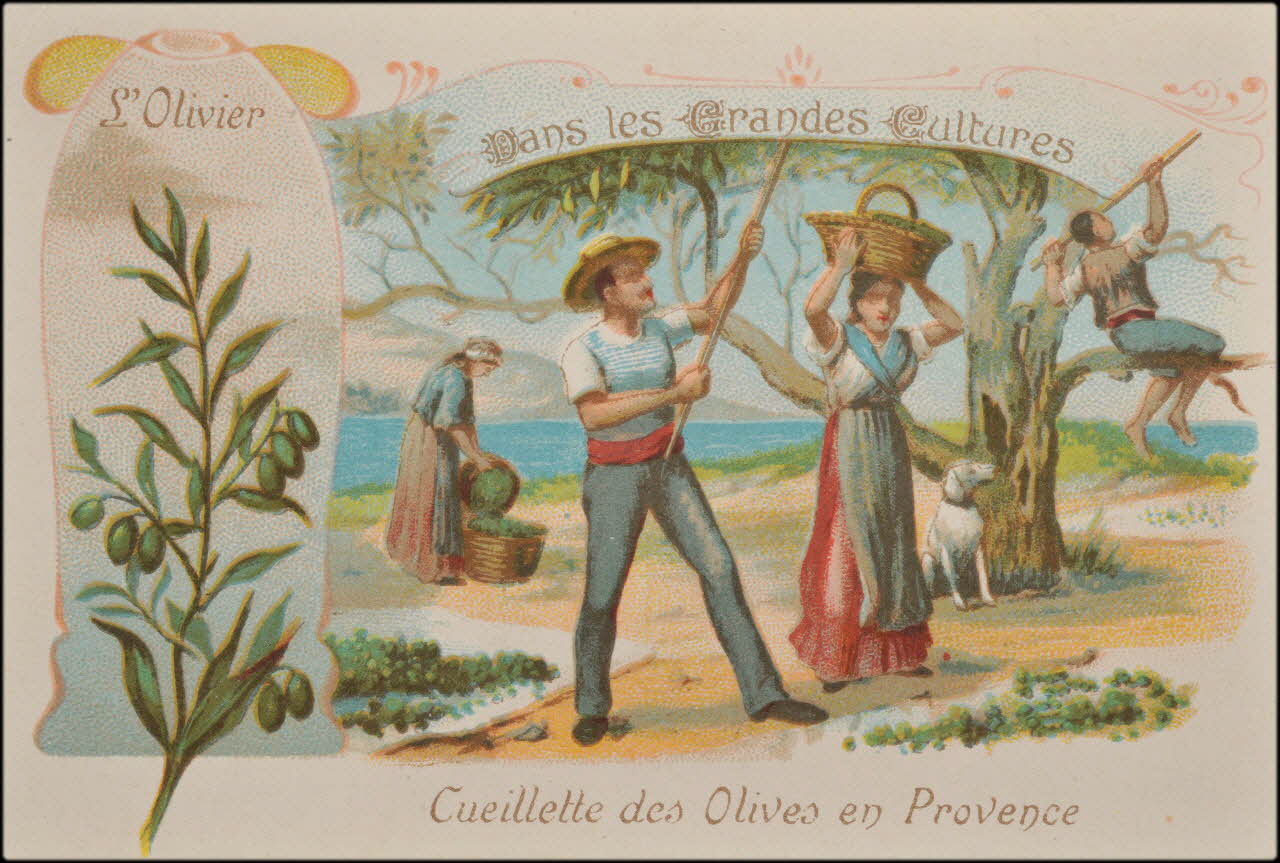 Romanet carte réclame chromo Paris 1877-1907 1995.1.1050.16 Photo