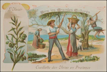 Romanet carte réclame chromo Paris 1877-1907 1995.1.1050.16 Photo