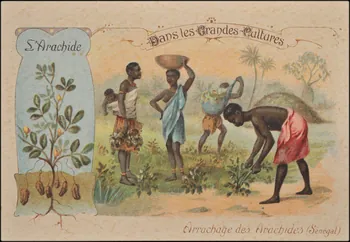 Romanet carte réclame chromo Paris 1877-1907 1995.1.1050.2 Photo