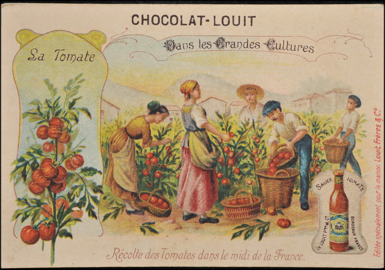 Romanet carte réclame chromo Paris 1877-1907 1995.1.1050.21 Photo