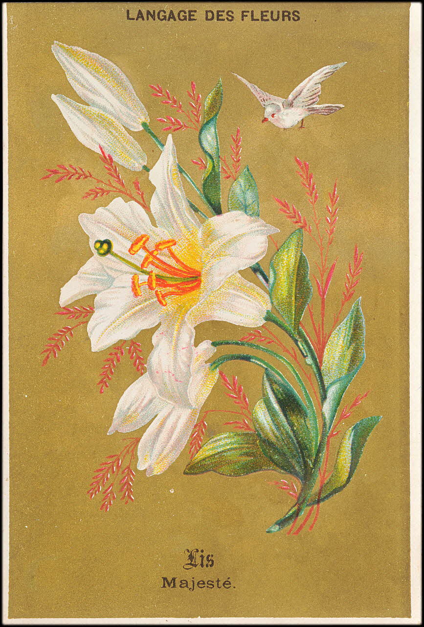P. Aubry carte réclame chromo Paris 1878 1995.1.11.13 Photo