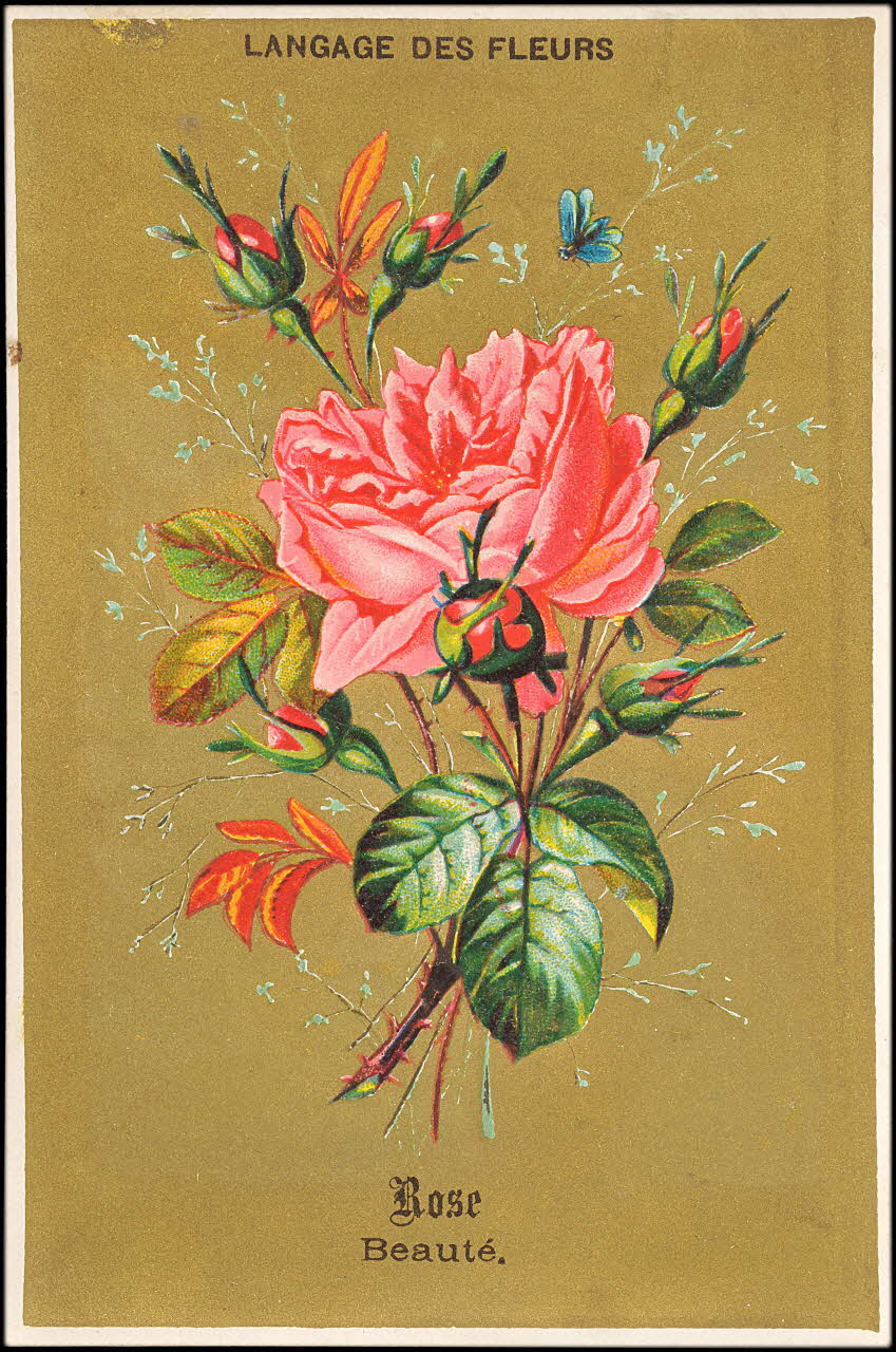 P. Aubry carte réclame chromo Paris 1878 1995.1.11.19 Photo