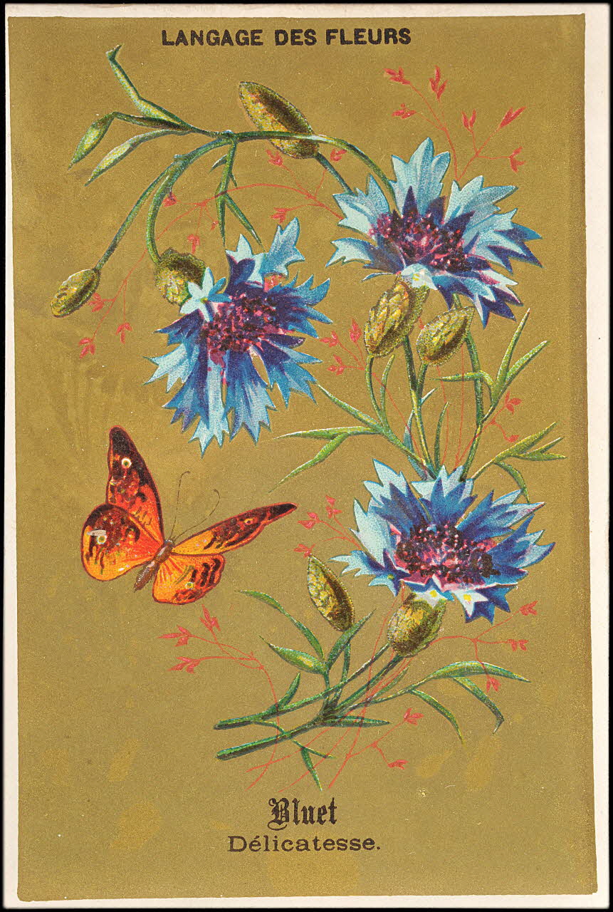 P. Aubry carte réclame chromo Paris 1878 1995.1.11.5 Photo