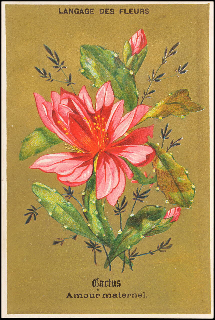 P. Aubry carte réclame chromo Paris 1878 1995.1.11.7 Photo (c) Mucem