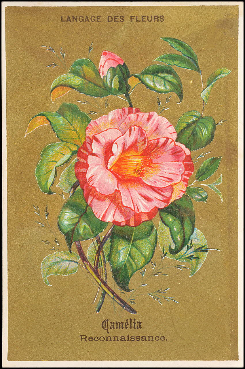 P. Aubry carte réclame chromo Paris 1878 1995.1.11.8 Photo