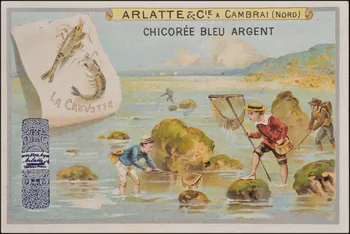 Romanet carte réclame chromo Paris 1877-1907 1995.1.1159.2 Photo